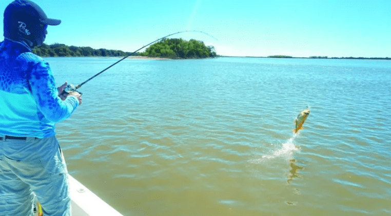 Corrientes se prepara para ser parte de la Feria de Pesca más importante de Brasil