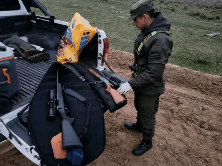 Confirmaron la condena a dos hombres por delitos contra la fauna y portación ilegal de armas