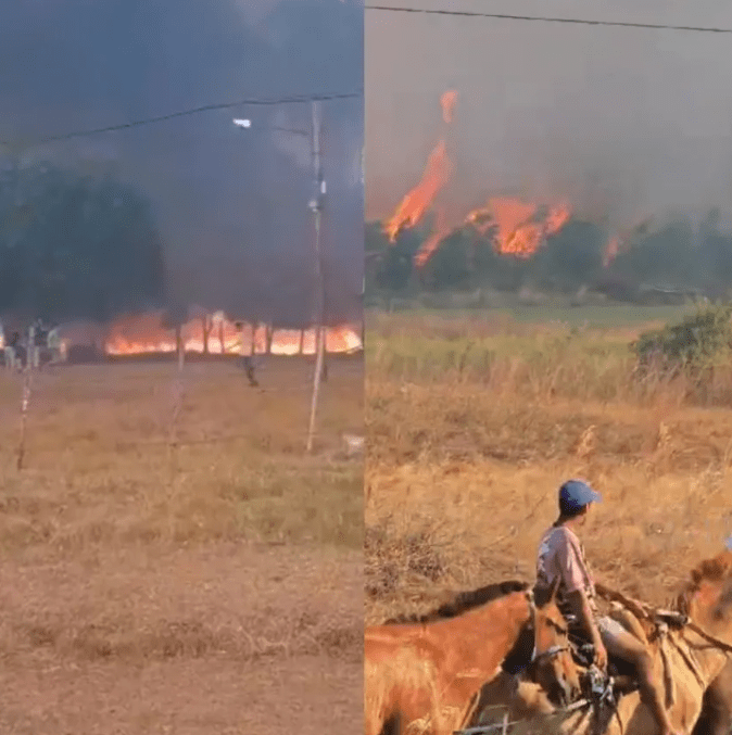 Irresponsabilidad total: aseguran que el 99,9% de los incendios son provocados por el hombre