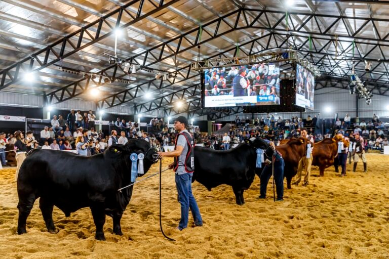 Vuelven las Nacionales de Razas a Corrientes con lo mejor de la genética animal