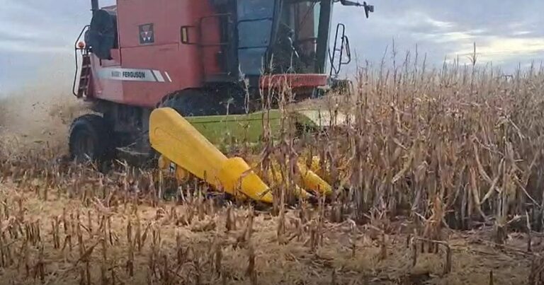 En marzo cayeron las exportaciones y volvió a bajar el superávit comercial