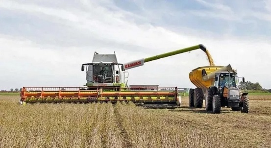 Bronca en el campo contra el Gobierno: «Es mentiroso y psiquiátrico»