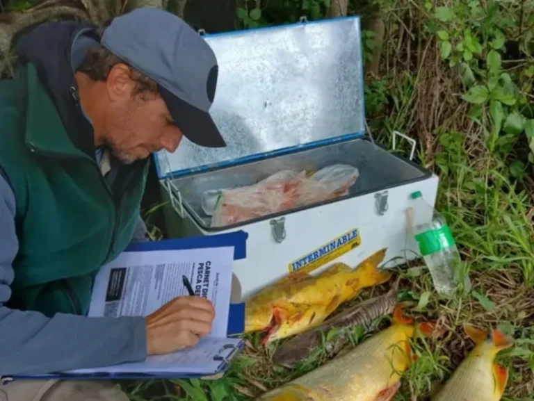 Refuerzan los controles de pesca en Semana Santa