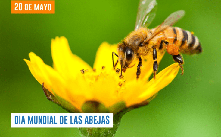 Efemérides del 20 de mayo