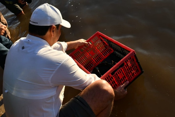 Valdés encabezó la liberación de 5000 alevines en el Paraná