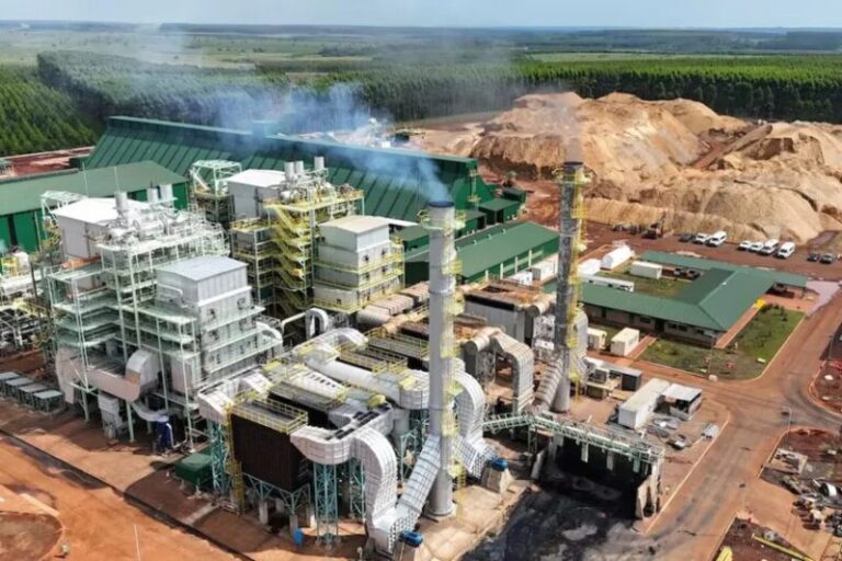 Biomasa: En Virasoro destacamos la calidad de la inversión y del inversor