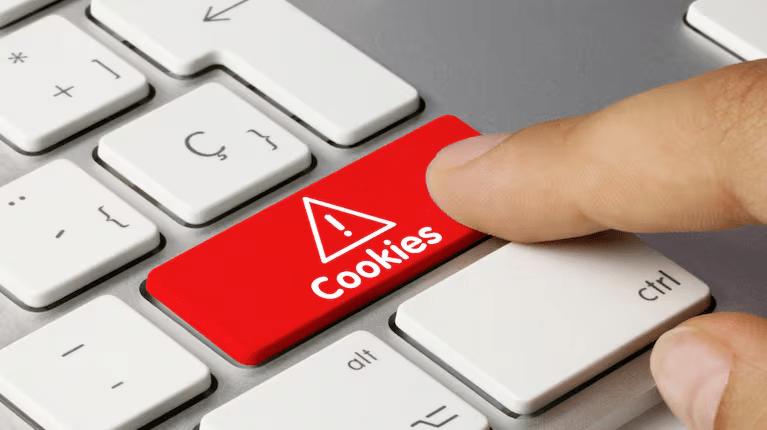 Qué tan inofensivas son las cookies que aceptamos al navegar por internet?