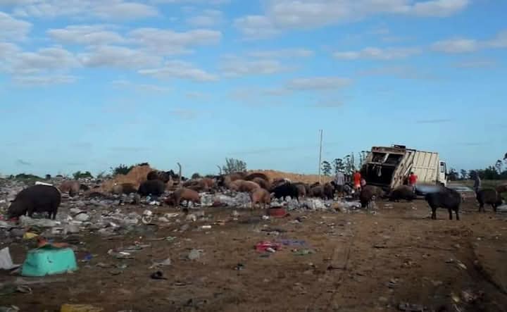 Esquina: audiencia por amparo ambiental que busca erradicar el basurero municipal
