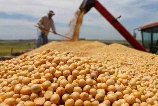 Productores del campo advirtieron al Gobierno sobre la suba de retenciones