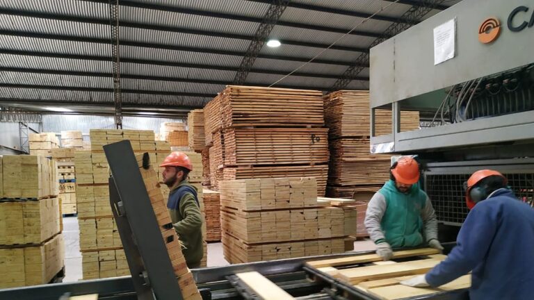 La industria cayó 1,2% mensual en junio y volvió a niveles de marzo