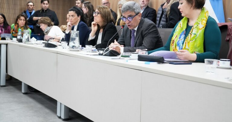 Javier Milei y sus medidas, EN VIVO: los puntos más destacados del pedido de informes al Gobierno por las muertes del fentanilo contaminado