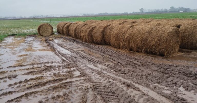 Lluvias históricas: cayeron hasta 300 milímetros más que la media en la principal región agrícola
