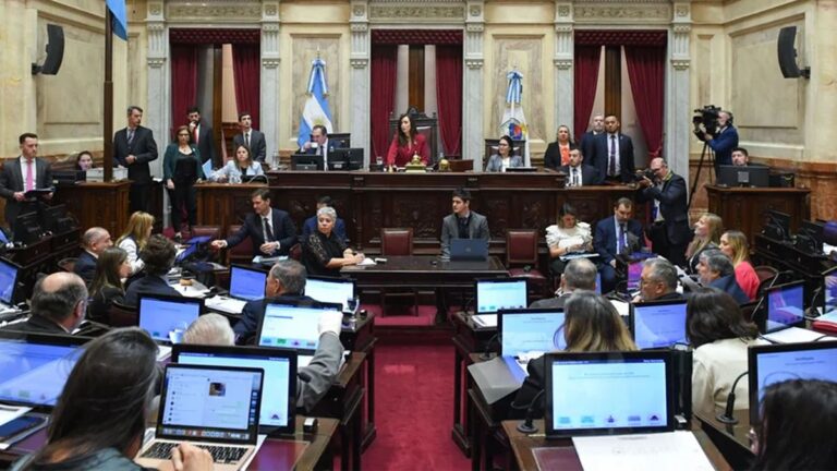 Senado: la oposición busca el dictamen por el presupuesto universitario y pediatría