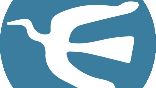 Un informe revela cómo disfrutan los chicos de su tiempo libre