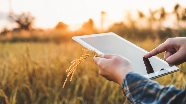 Una AgTech transforma el agro argentino y apuesta por la región