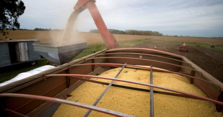 Intervención del dólar: el Gobierno espera por US$ 82.000 millones y mira a 6 sectores que ayudarían a contener la suba