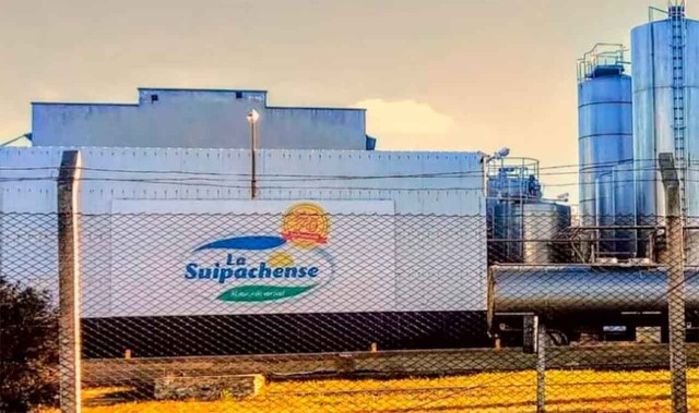 Crisis en otro gigante lácteo: despidos masivos en puerta y acusación de vaciamiento