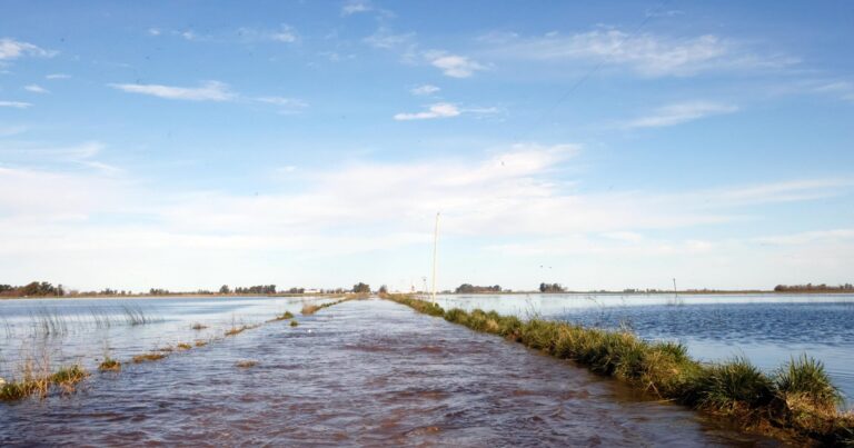«Una tragedia anunciada»: advierten que la superficie afectada por las fuertes lluvias supera las 3 millones de hectáreas en Buenos Aires