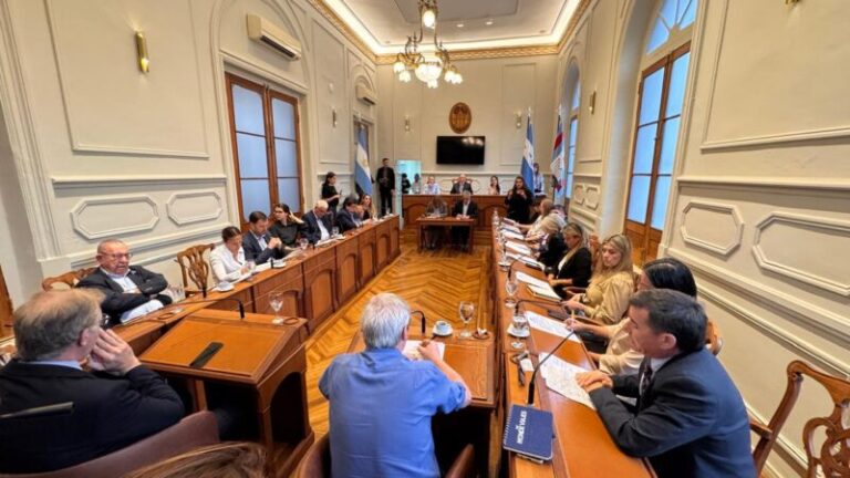 El Concejo respaldó la defensa de la universidad pública