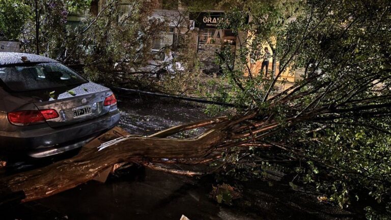 Mapa en vivo de las lluvias de este viernes en Buenos Aires: cuándo se espera caída de granizo en el AMBA