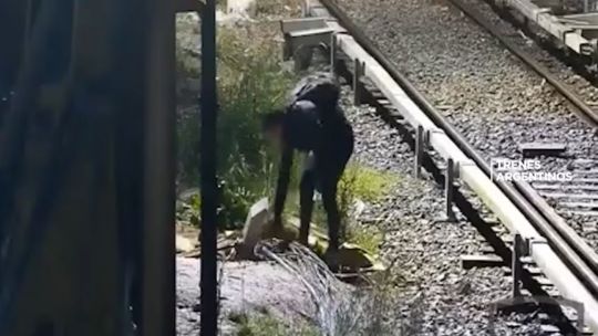 Quiso robar cables del tren Mitre, se salvó de morir electrocutado y terminó detenido