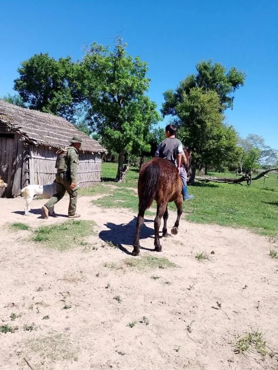 Estancia donó caballos para que alumnos puedan llegar a la escuela