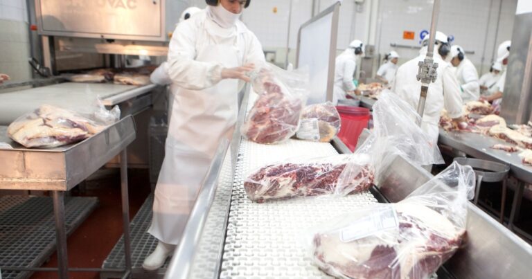 Retenciones cero: el Gobierno aclaró que el esquema sigue vigente para la exportación de carnes avícolas y bovinas