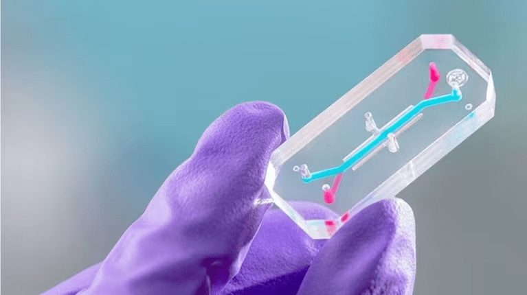 El extravagante plan de la NASA: enviará tejido humano a la Luna para anticipar daños en los astronautas