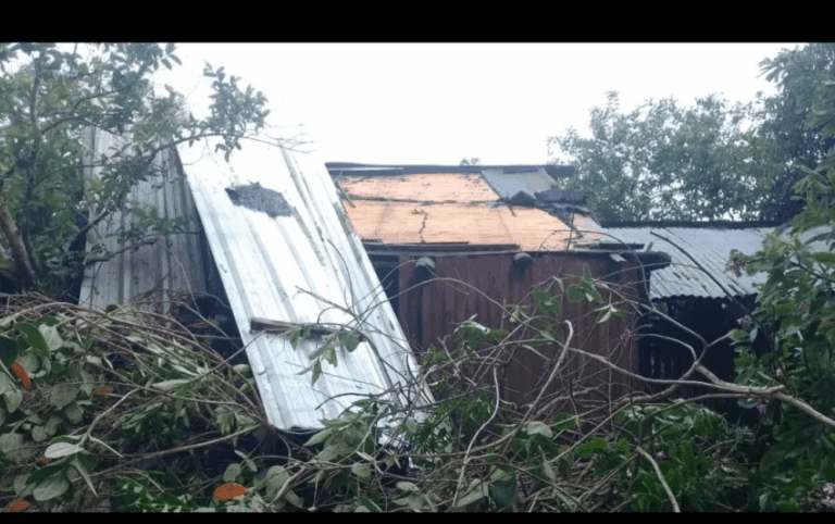 Fuertes ráfagas de viento afectaron a viviendas y árboles en una zona rural.