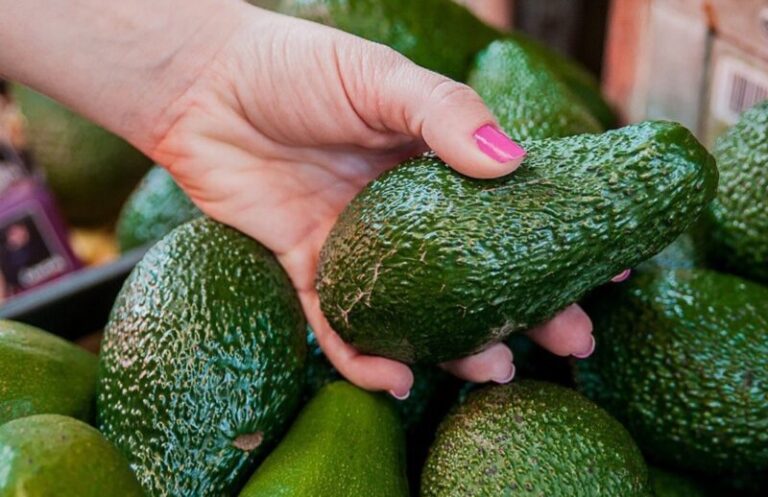 Plan Palta: cómo acceder a la financiación de producción