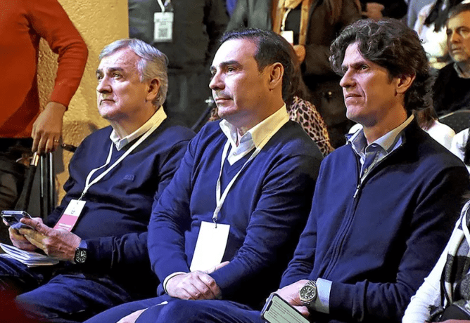 Para Gustavo Valdés, la conducción de Lousteau en la UCR fue a contrapierna