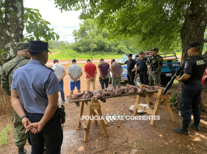 Cinco demorados en Corrientes por faenar un ciervo de los pantanos, especie protegida