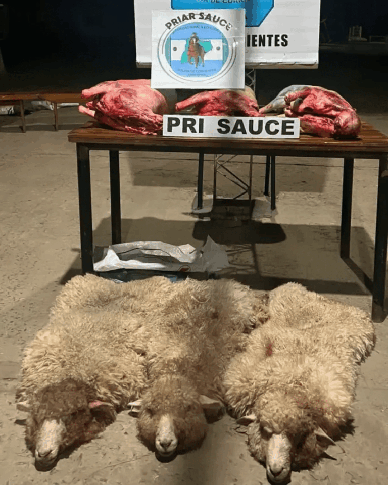 Detienen a un hombre y su hijo por transporte de corderos faenados.