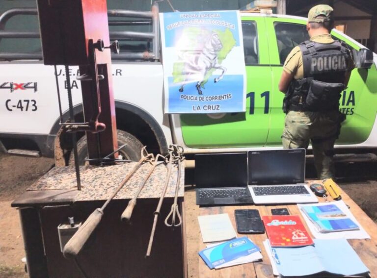 Abigeato en La Cruz: en un sexto allanamiento hallaron 22 terneros sin propiedad acreditada