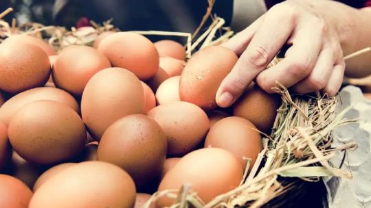 Récord: Se disparó el consumo de huevos en 2025 y la importación superó el 665%