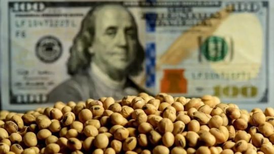 Cómo impactó el último informe del USDA en el precio internacional de los granos