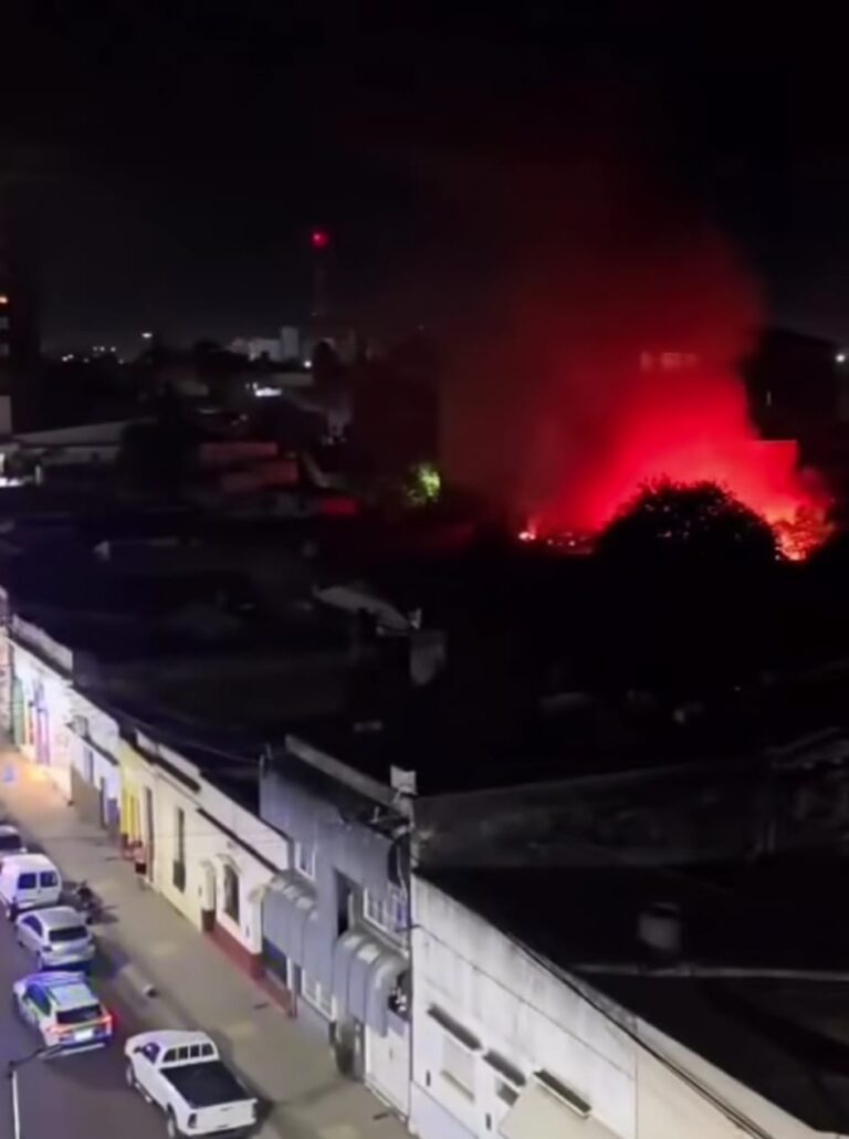 Un incendio de gran magnitud se desató anoche en pleno centro de la capital
