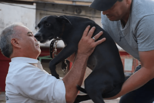Horror en Corrientes: rescatan a una perra que habría sido víctima de abuso