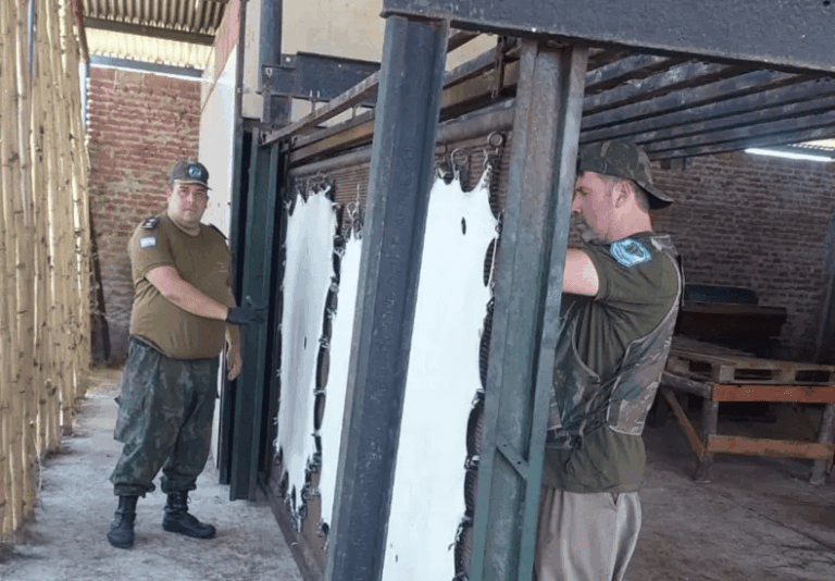 allanaron una curtiembre ilegal y secuestraron gran cantidad de cueros