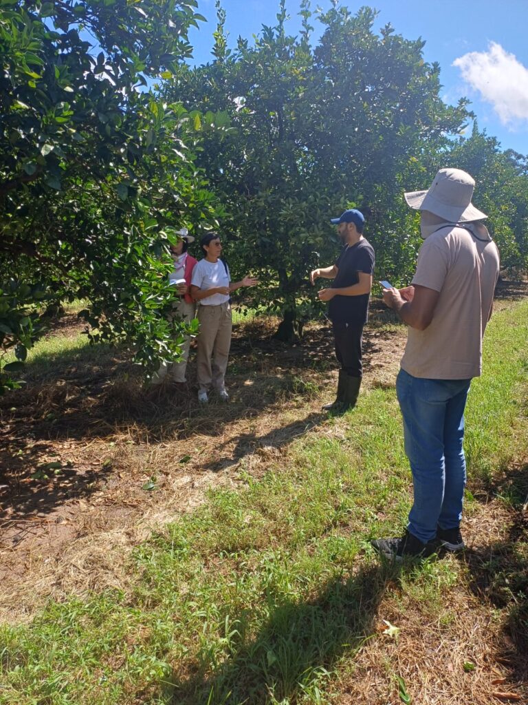 El Gobierno desplegó un amplio relevamiento luego del temporal