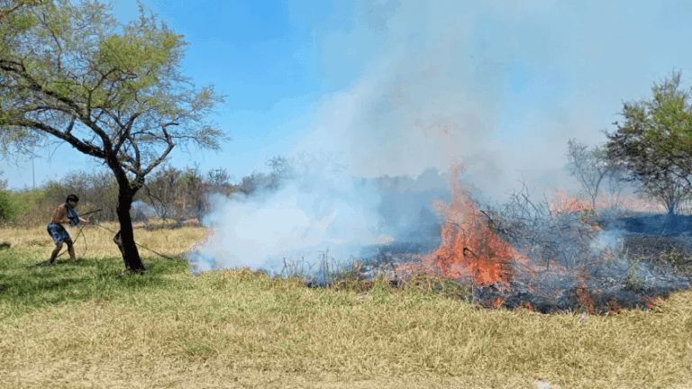 Dos sujetos demorados por prender fuego un pastizal
