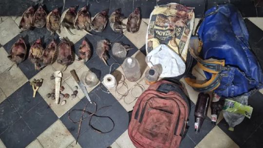 Detienen a cazadores furtivos con 15 quirquinchos muertos en el Valle de Uco