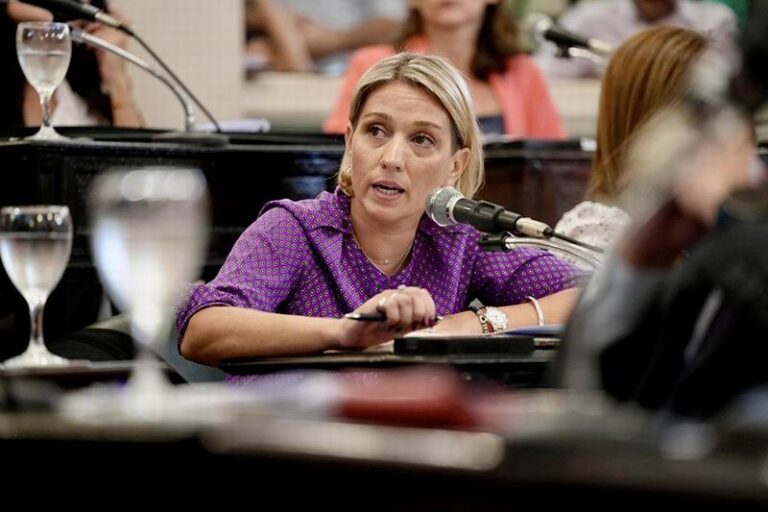 Diputados: buscan crear un corsé legal para deudores alimentarios