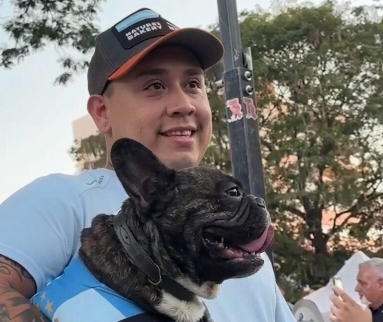 Perro y gato en una jornada de castración gratuita de la Municipalidad de Corrientes
