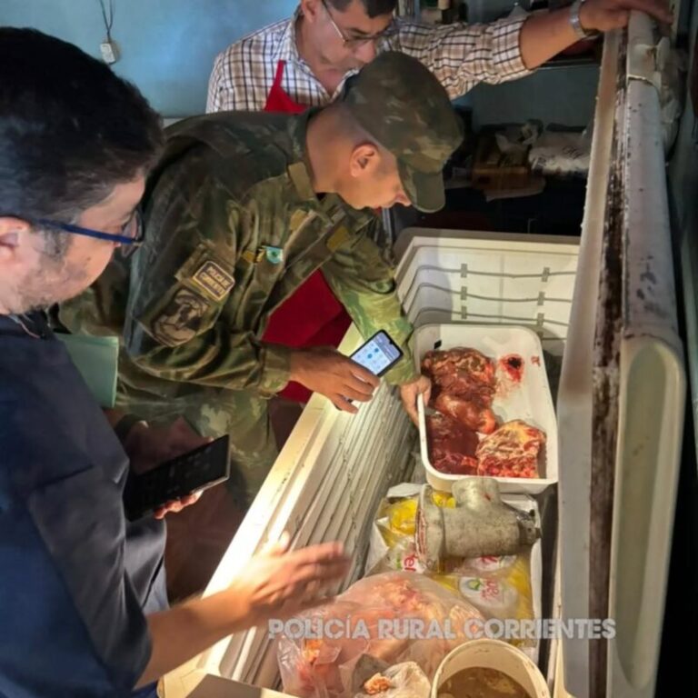 Efectivos policiales y personal de bromatología durante un operativo de control en una carnicería de San Miguel, Corrientes.