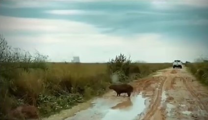 Participantes en el taller de capacitación del proyecto Ojos del Cielo en el Museo de Arte Contemporáneo de Corrientes