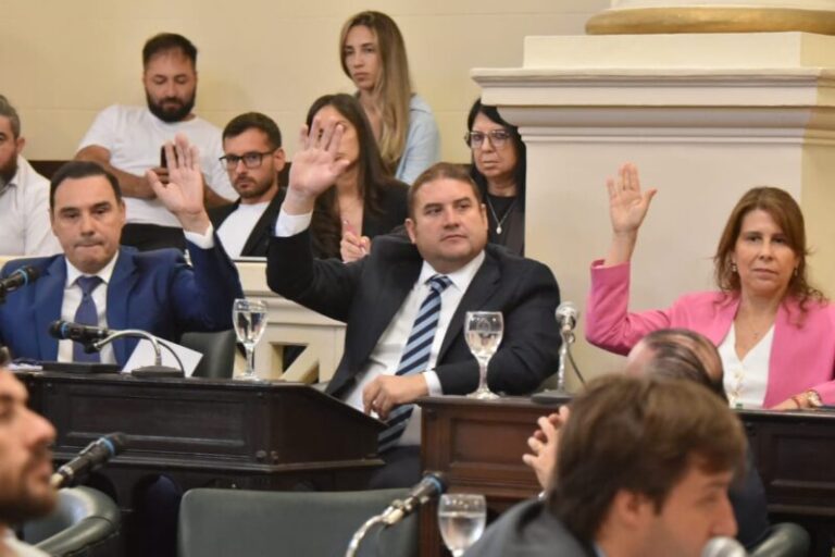 Legisladores correntinos en reunión de trabajo preparatoria para el plenario del Norte Grande.