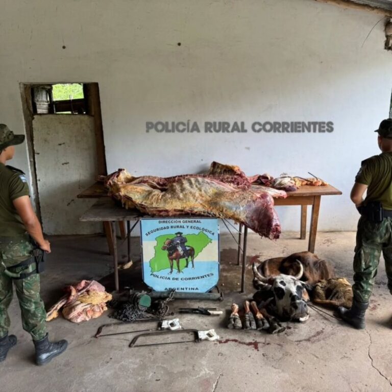 Operativo policial de la PRIAR en un predio rural de El Perichón, Corrientes, donde se decomisó carne sin control sanitario.