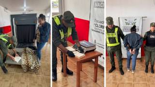 Efectivos de Gendarmería Nacional durante un control de rutina en la Ruta Nacional 11