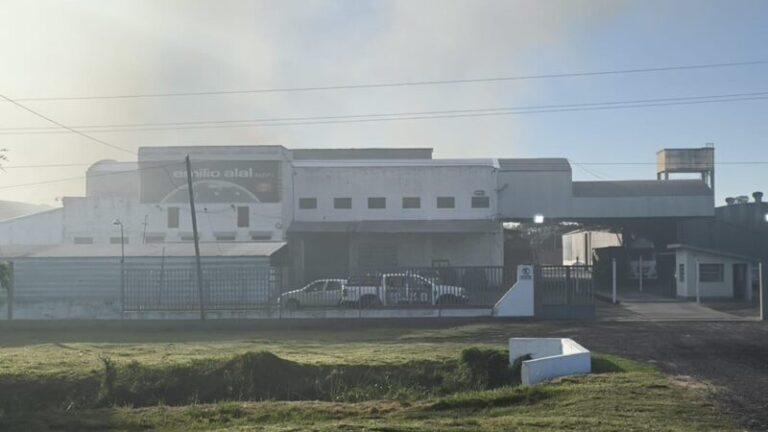 Bomberos trabajando en el lugar del incendio en la fábrica textil Alal, Goya.